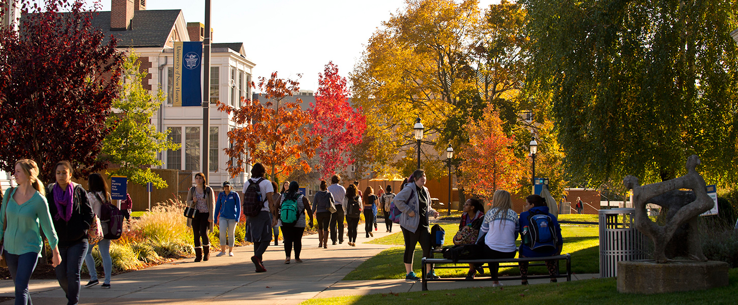 University of New Haven campus