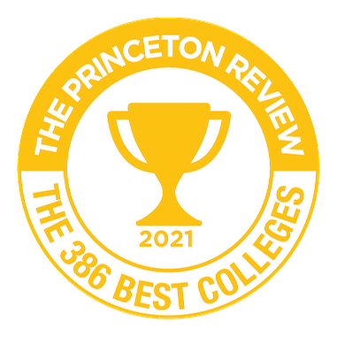 Princeton Review badge