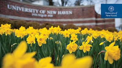 UNewHaven Zoom background image