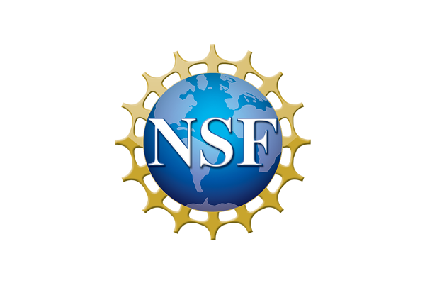 NSF logo