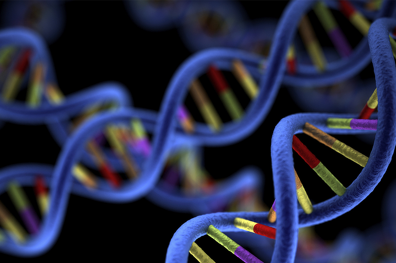 Online Graduate Certificate in Forensic Genetic Genealogy