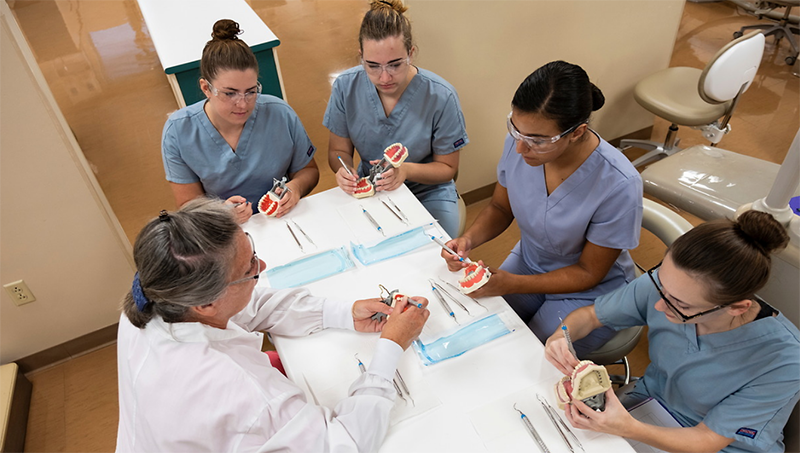 Image of Dental Hygiene students