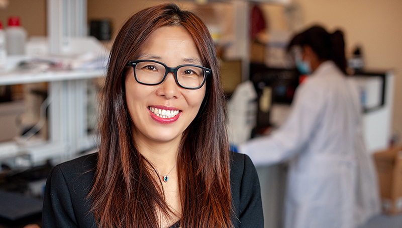 Image of Shue Wang, Ph.D., an assistant professor.